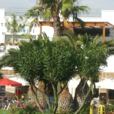 Apartment Zona Naturista Vera Exterior photo