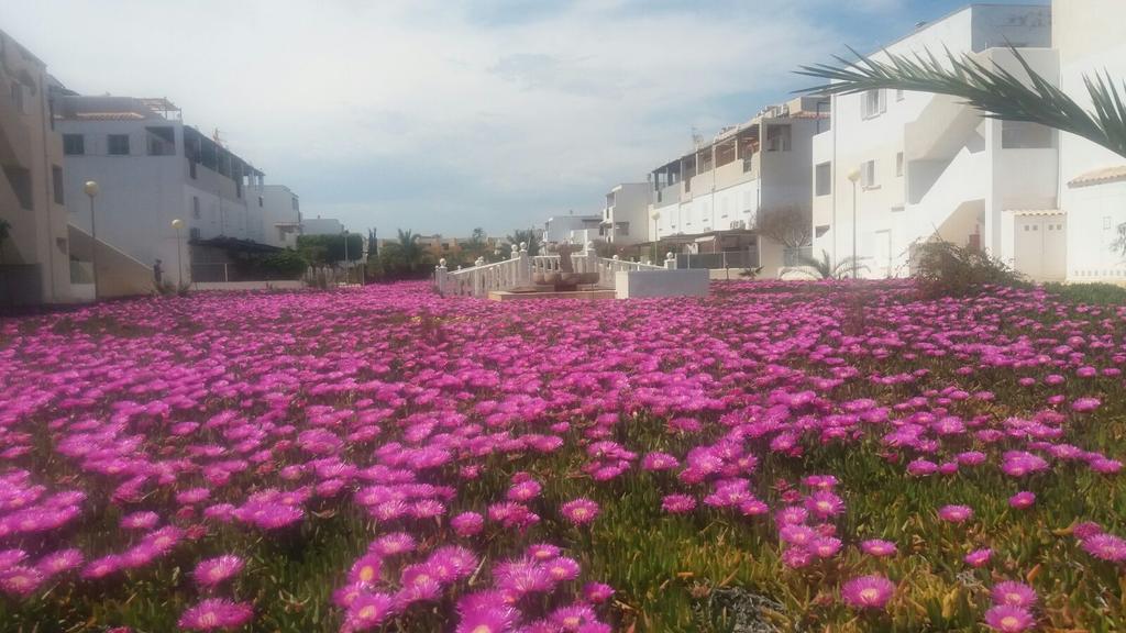 Apartment Zona Naturista