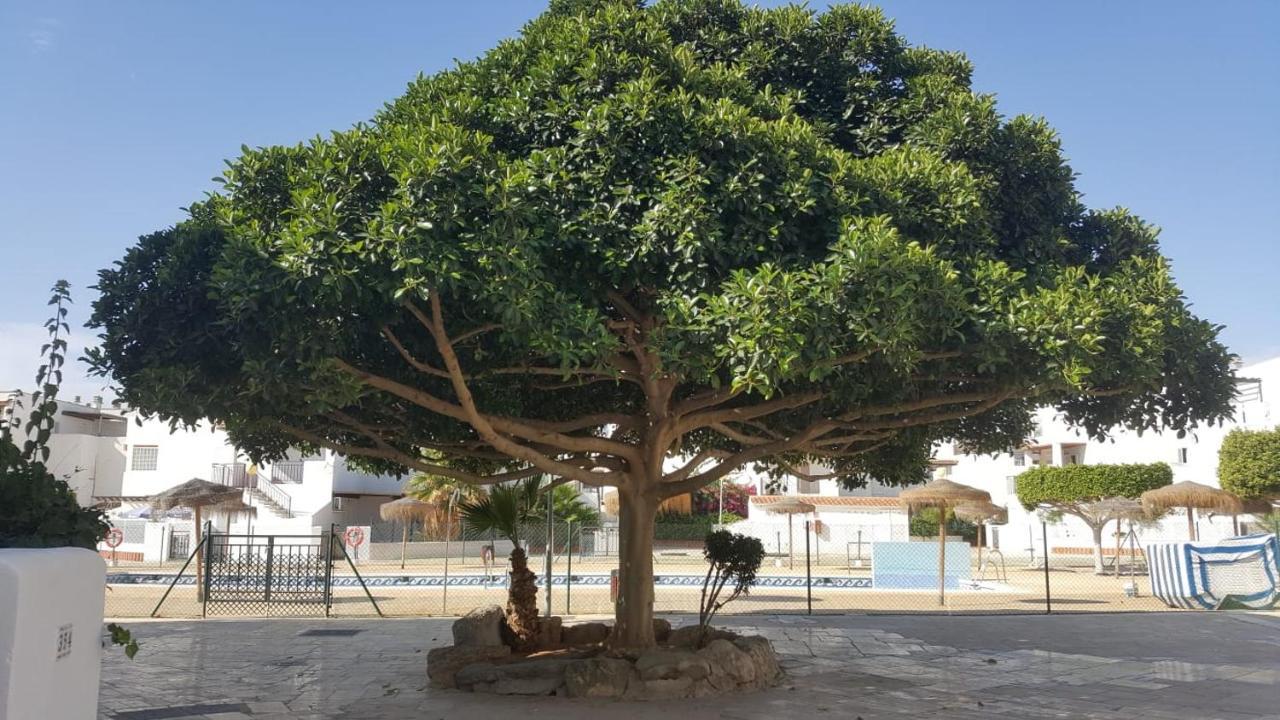 Zona Naturista
